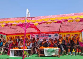 डडेल्धुरामा कांग्रेस हार्यो भने अन्तराष्ट्रिय बेइजत हुन्छ: डिल्लिराज जोशी