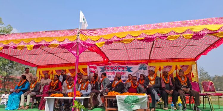डडेल्धुरामा कांग्रेस हार्यो भने अन्तराष्ट्रिय बेइजत हुन्छ: डिल्लिराज जोशी
