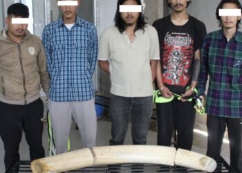 बैतडीका बोहरासहित ५ जना हात्तीको दाह्रासहित काठमाडौँमा पक्राउ