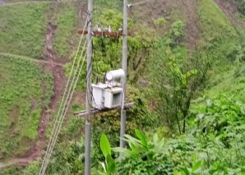 डडेल्धुराको नवदुर्गा–५ चौडबान्नीमा रुख ढल्दा विद्युत् सेवा अवरुद्ध